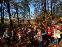 Spacer "Śladami Pani Jesieni"